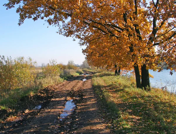 Höst Landskap Träd Och Vägar Landsbygdsområden — Stockfoto