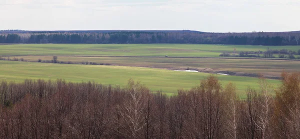 春天在宽阔的俄罗斯田野里散步 — 图库照片
