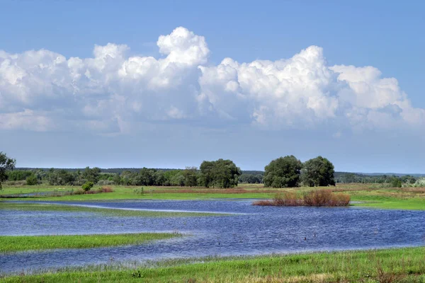 Vackert Vårlandskap Flodslätterna — Stockfoto