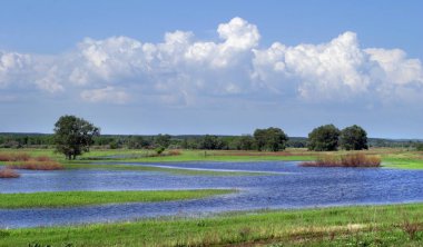 Sel ovalarında güzel bir bahar manzarası