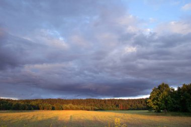 Gün batımında, çayırlarda ve ormanlarda dramatik bulutlar.