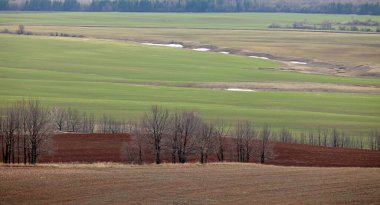Uçsuz bucaksız Rus tarlalarında bahar yürüyüşü