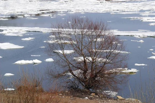 Lód Unoszący Się Rzece Podczas Przerwy Wiosennej — Zdjęcie stockowe