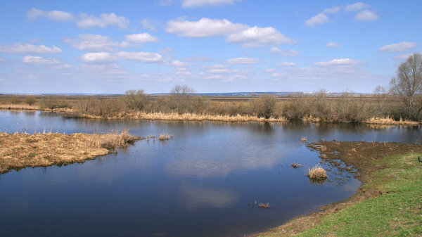 spring flooding river on a sunny day