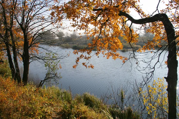 Paysage Automne Rivière Les Arbres Par Une Journée Ensoleillée — Photo