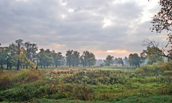 Lange Wandeling Buiten Vroege Ochtend — Stockfoto