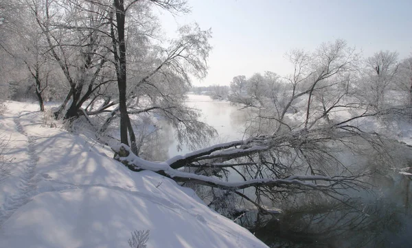 Winterwandeling Langs Rivier Een Mistige Ochtend — Stockfoto