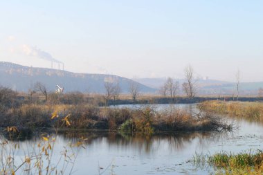 Ağaçların ve bataklıkların sonbahar manzarası