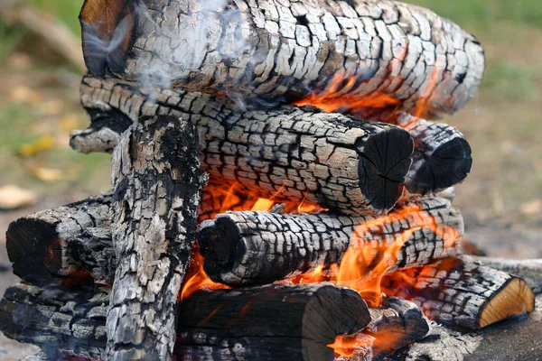 Hout Brandt Prachtig Verandert Steenkool — Stockfoto