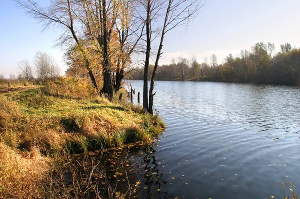 Paisaje Otoñal Del Río Los Árboles Día Soleado — Foto de Stock