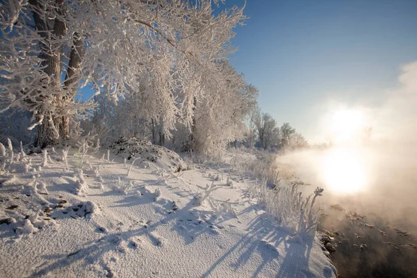 Kışın Nehir Boyunca Uzun Bir Yürüyüş — Stok fotoğraf