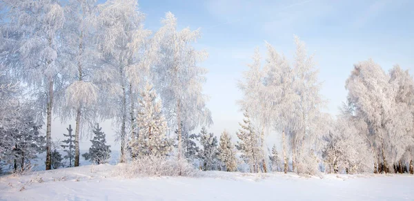 穿过俄罗斯美丽的冬季风景 — 图库照片