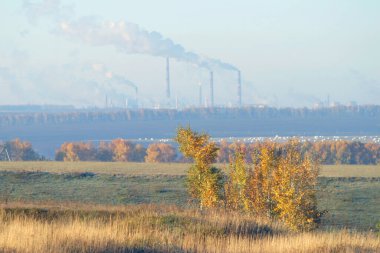 Sonbahar manzarası, çayırları ve ağaçları, ufukta ısı istasyonu