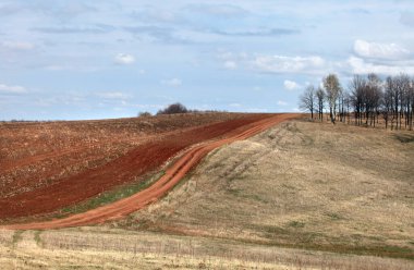 Uçsuz bucaksız Rus tarlalarında bahar yürüyüşü