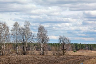 Uçsuz bucaksız Rus tarlalarında bahar yürüyüşü