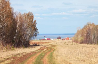 Ormanda ve tarlalarda uzun sonbahar yürüyüşü