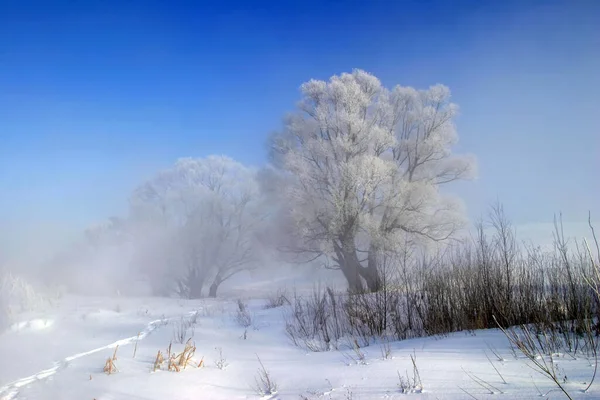 Красиві Зимові Пейзажі Зроблені Ясний День — стокове фото