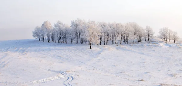 Spacer Pięknej Zimowej Scenie Rosji — Zdjęcie stockowe