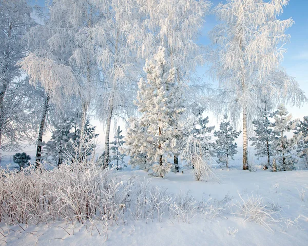穿过俄罗斯美丽的冬季风景 — 图库照片