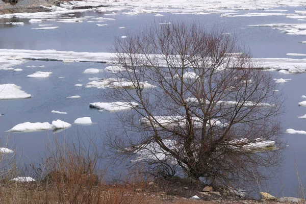 Лід Плаває Річці Під Час Весняного Розпаду — стокове фото