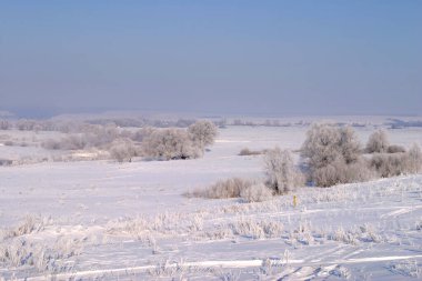Açık bir günde çekilen güzel kış manzaraları