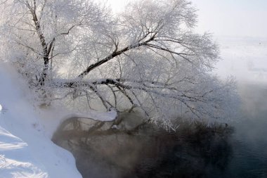 Kış, sisli bir sabahta nehir boyunca yürür