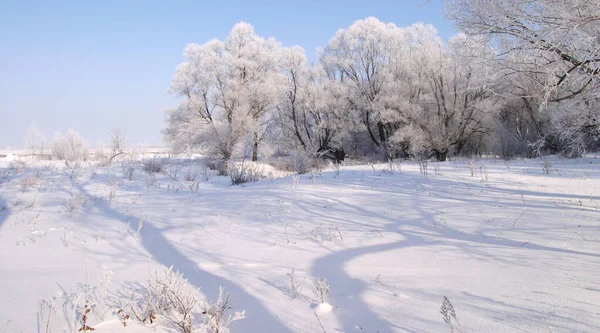 Bellissimi Paesaggi Invernali Presi Una Giornata Limpida — Foto Stock