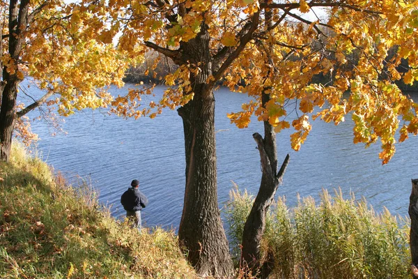 秋の晴れた日に川の風景漁師が餌に魚を捕まえる — ストック写真