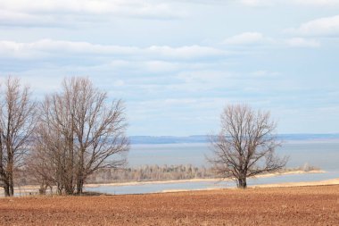 Ormanda ve tarlalarda uzun sonbahar yürüyüşü