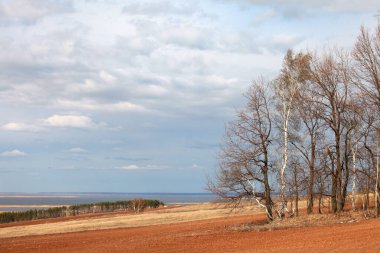 Ormanda ve tarlalarda uzun sonbahar yürüyüşü