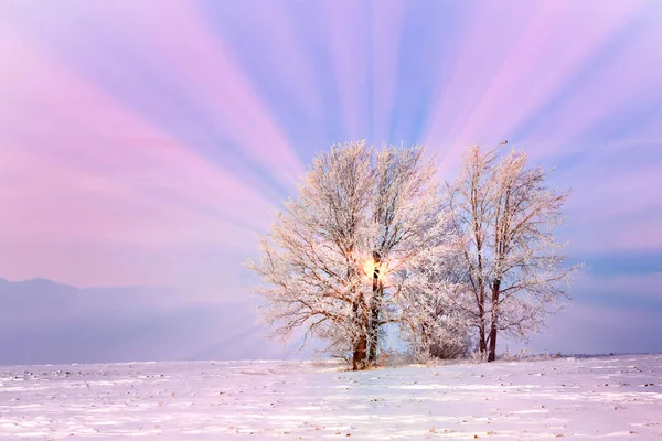 Caminhe Pela Bela Cena Inverno Rússia — Fotografia de Stock