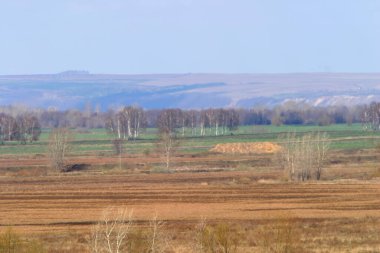 Karların erimesinden sonra çekilen güzel bahar manzaraları