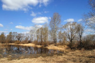Karların erimesi sırasında yakalanan güzel bahar manzaraları