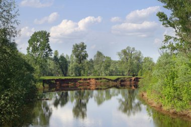 İlkbahar sabahı nehirdeki ağaçların yansıması