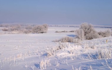 Açık bir günde çekilen güzel kış manzaraları