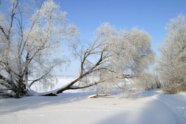 Bellissimi Paesaggi Invernali Presi Una Giornata Limpida — Foto Stock