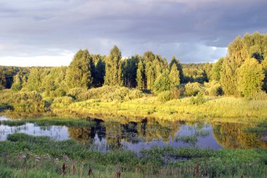 Gün batımında, ormanın ve nehrin yakınındaki manzara bulutlu.