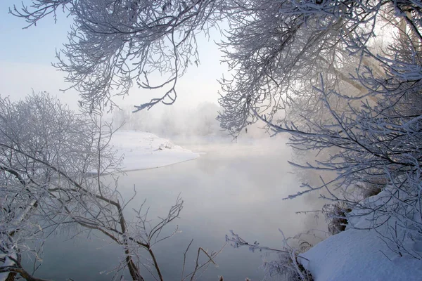 Passeio Inverno Longo Rio Uma Manhã Enevoada — Fotografia de Stock