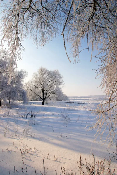 Prachtige Winterlandschappen Genomen Een Heldere Dag — Stockfoto