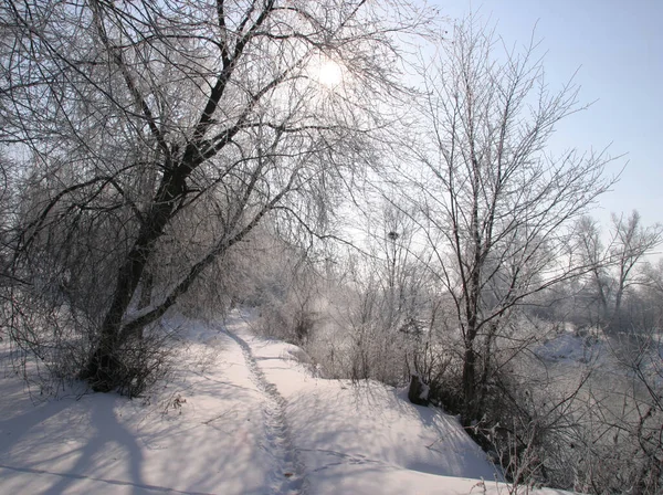 Zimowy Spacer Wzdłuż Rzeki Mglisty Poranek — Zdjęcie stockowe