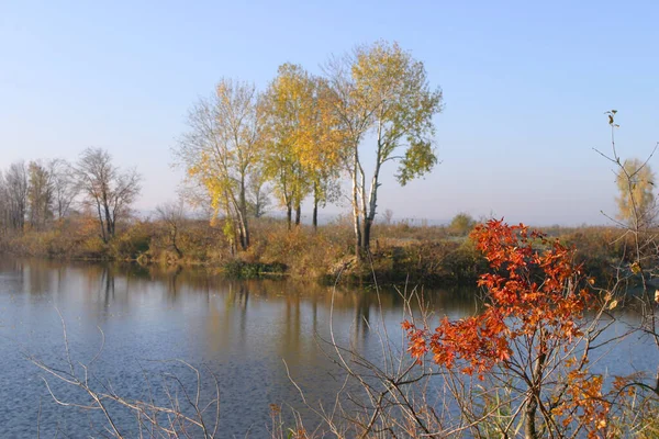 Güneşli Bir Günde Nehrin Ağaçların Sonbahar Manzarası — Stok fotoğraf