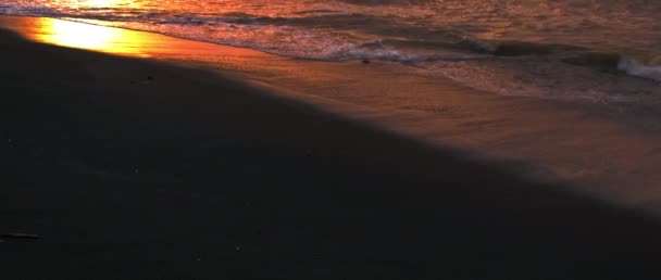 Increíble Salida Del Sol Isla Bali Indonesia Con Nubes Púrpuras — Vídeo de stock