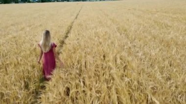 Arpa tarlasında sarışın bir kızla yapılan yaz yürüyüşü.