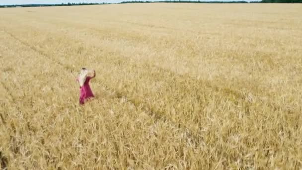 Verão Drone Tiro Campo Cevada Com Menina Loira Andar — Vídeo de Stock