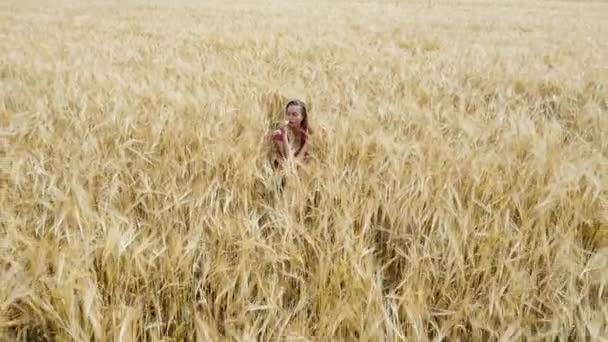노란색 보리밭에 소녀와 밭에서 카메라 — 비디오