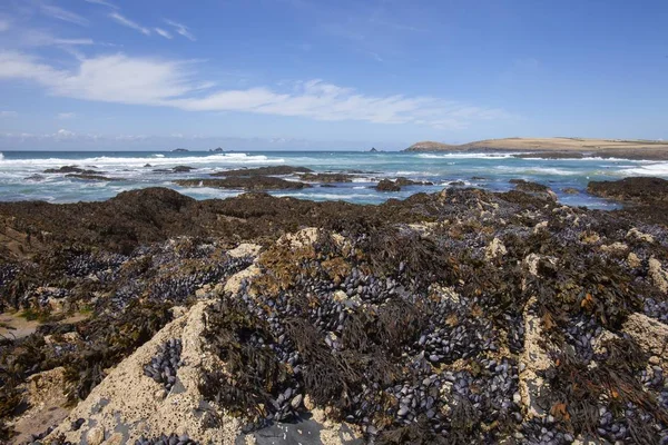 Treyarnon Bay Cornwall England — Stockfoto