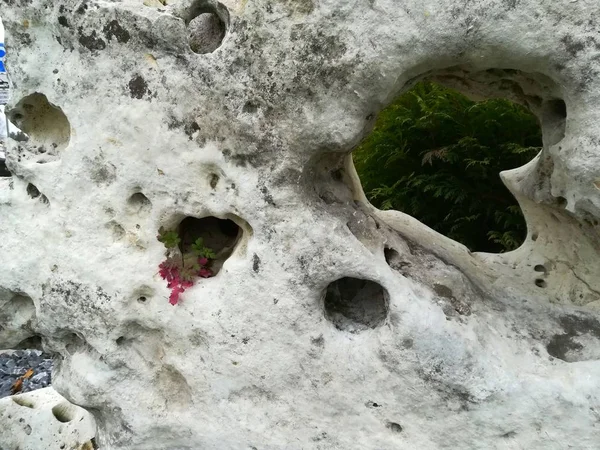 Granulair kalksteenoppervlak. Kalksteen crag textuur. — Stockfoto