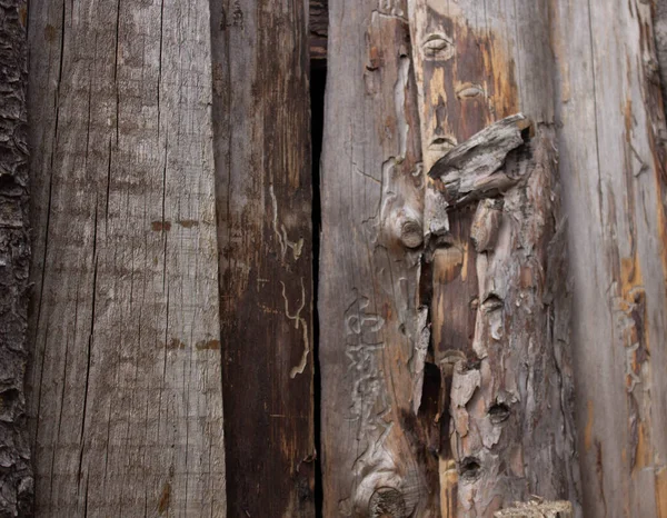 Старые деревянные доски со следами древесных червей — стоковое фото