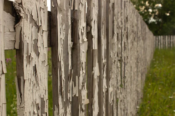 Старый Деревянный Забор Лесом Спине — стоковое фото