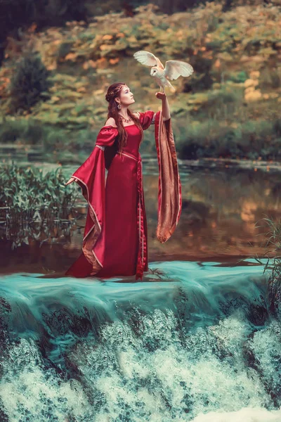 Mulher Medieval Bonita Feiticeira Vestido Vermelho Com Uma Coruja Voadora — Fotografia de Stock